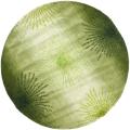 Handmade Soho Burst Green New Zealand Wool Rug (6' Round)