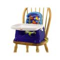 Fisher-Price Ocean Wonders Booster Seat