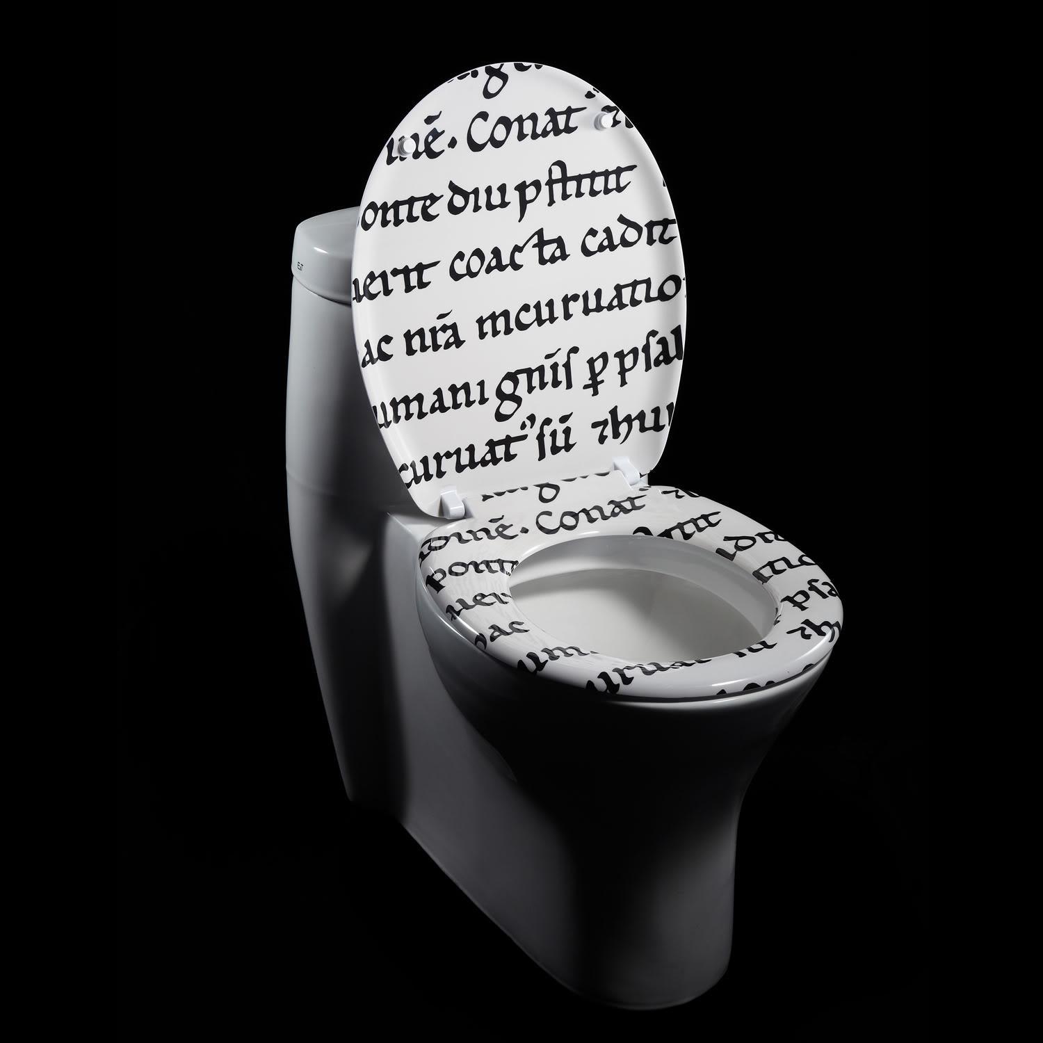 Latin Characters Designer Melamine Toilet Seat Cover 13543948