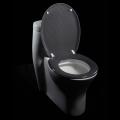 Carbon Fiber Designer Melamine Toilet Seat Cover