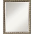 'Argento Mirror' Large Framed Art
