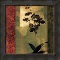 Chris Donovan 'Mesmerized II' Framed Art