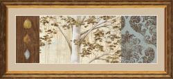 Daphne B 'Birch Textures I' Framed Print Art