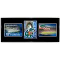 Florida Gators Metal Wall Hanging Framed Triple Shot Logo