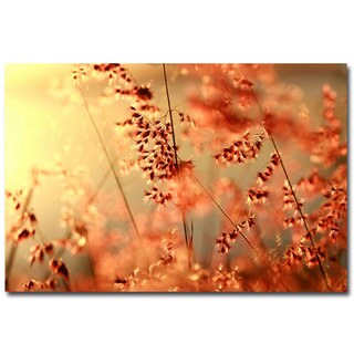 Beata Czyzowska Young 'Sunset Conversations' Canvas Art