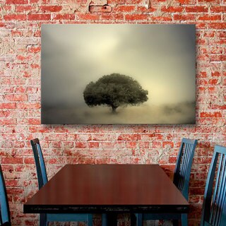 Mark Ross 'Room to Grow' Wrapped Canvas Art