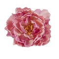 Peony Pink Napkin Rings (Set of 4)