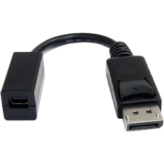 StarTech.com 6in DisplayPort to Mini DisplayPort Video Cable Adapter 
