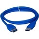 QVS 6ft, Blue, USB A Male to Female