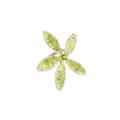Beaded Napkin Rings (Set of 4)