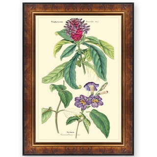 'Complemental Flowers III' Wooden Framed Art Print