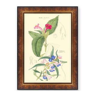 'Complemental Flowers IV' Wooden Framed Art Print