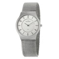 Skagen Men's Stainless Steel Mesh Watch
