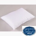 Splendorest Platinum Plus Standard Size Pillows (Pack of 12)