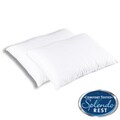 Splendorest ProTech Allergen Barrier Standard Size Pillows (Pack of 12)