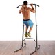 Pure Fitness Multi-Station Power Tower