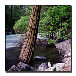 Preston 'Yosemite I' Canvas Art