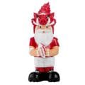 Arkansas Razorbacks 11-inch Thematic Garden Gnome