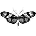 LaBlanche Silicone Stamp - Butterfly Nostalgic