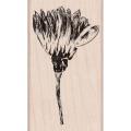 Hero Arts Paint-A-Flower Stamp