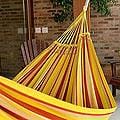 Cotton 'Sunny Brazil' Hammock (Brazil)