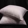Eco-friendly Down Alternative Pillows (Set of 2)