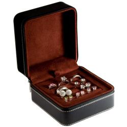 Steinhausen Luxury Watch and Jewelry Traveling Case