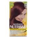 Knowledge Hair Vitamins Results base Garnier Nutrisse '#65 Light Reddish Brown' Hair Color (Pack of 4)