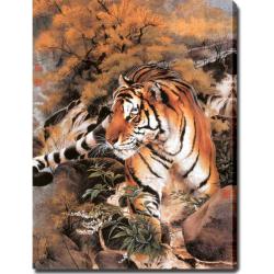 'Tiger' Giclee Canvas Art 