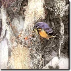 'Bird' Giclee Canvas Art