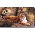 'Tiger' Giclee Canvas Art 