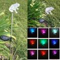 Frog Solar Powered Garden Yard Stake Lights (Pack of 2)