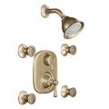 Moen Antique Bronze Moentrol Vertical Spa