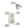 Moen Brushed Nickel Moentrol Vertical Spa