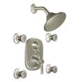 Moen Brushed Nickel Moentrol Vertical Spa