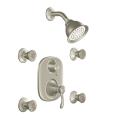 Moen Brushed Nickel Moentrol Vertical Spa