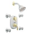 Moen Chrome/Polished Brass Moentrol Vertical Spa