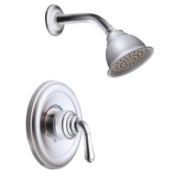 Moen Platinum Moentrol Shower Head