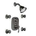 Moen Pewter Moentrol Vertical Spa