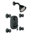 Moen Wrought Iron Moentrol Vertical Spa