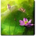 'Lotus Flower' Canvas Art