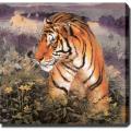 'Tiger on the Mountain' Canvas Art