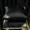 Set of 2 Sari Fabric Decorative Black Pillow Covers (India)