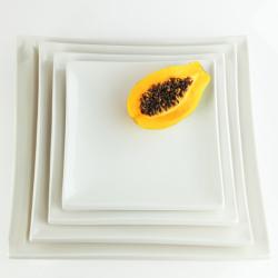 Infinity 13.25-inch Asia Square Platters (Pack of 6)