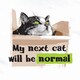 My Next Cat Will Be Normal T-Shirt