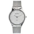 Skagen Women's Stainless Steel Crystal Watch