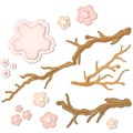 Spellbinders Shapeabilities Dies-Cherry Blossoms
