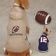 Casual Canine Sports Hound Hoodie Football