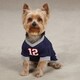Casual Canine Sports Hound Hoodie Football