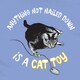 Blue Cat Toy T-shirt